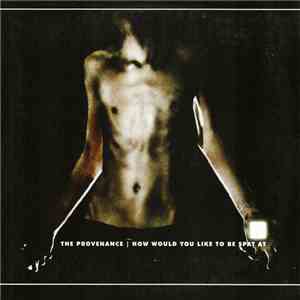 The Provenance - How Would You Like To Be Spat At flac download