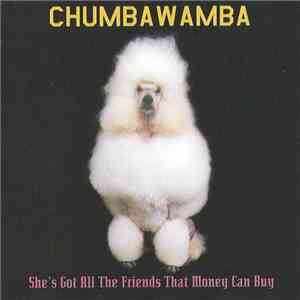 Chumbawamba - She's Got All The Friends That Money Can Buy FLAC download