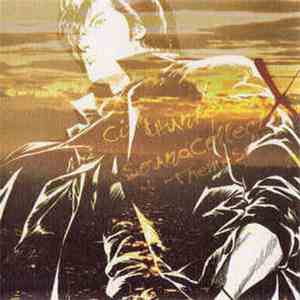 Various - City Hunter Sound Collection X - Theme Songs  flac download