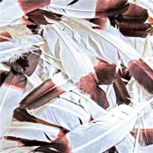 Korallreven - The Truest Faith flac download
