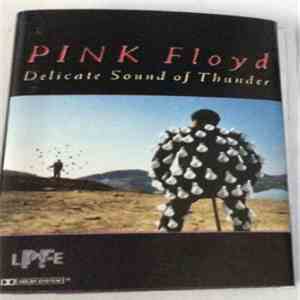 Pink Floyd - Delicate Sound Of Thunder Vol. 1 flac download