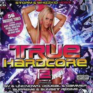 Storm & Whizzkid - True Hardcore 2 flac download