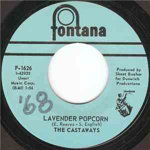The Castaways - Lavender Popcorn / What Kind Of Face flac download