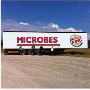 Microbes  - Microbes flac download