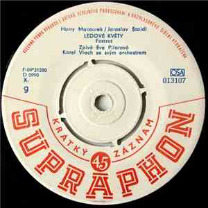 Eva Pilarová / Karel Gott - Ledové Květy / Písnička Pro Martinu FLAC download