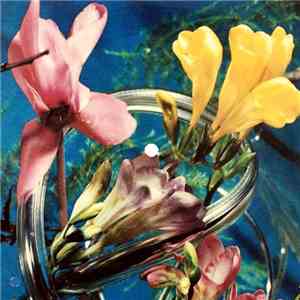 Ray Mannings - Funky Nassau flac download