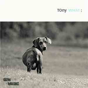 TOny  - What; flac download