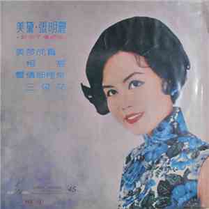 美黛, 張明麗 - 新不了情插曲 flac download