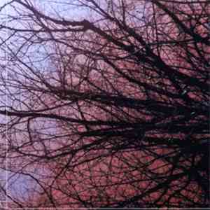 Ekca Liena - Slow Music For Rapid Eye Movement flac download