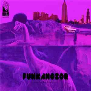 Various - Funkanozor Vol. 1 flac download