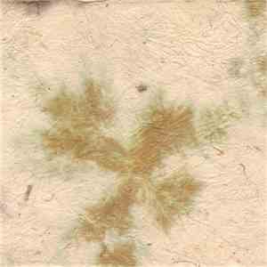 Various - Wailing Bones Volume Six flac download