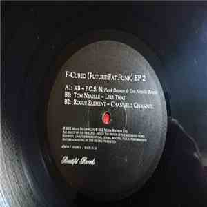 BK / Tom Neville / Rogue Element - F-Cubed (Future:Fat:Funk) EP 2 flac download