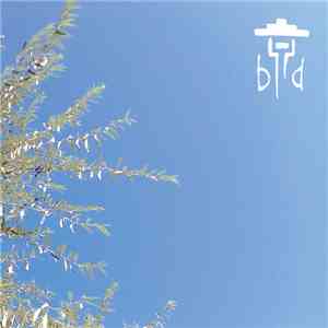 Broken Down - Drop Dead Entertainer flac download