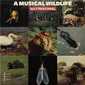 Various - A Musical Wildlife Vol.1 Pastoral flac download