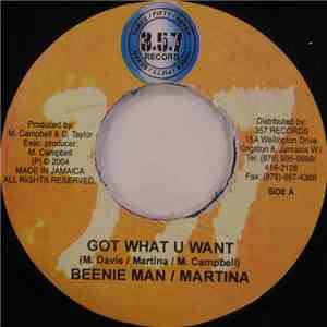 Beenie Man / Martina  - Got What U Want flac download