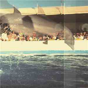 Death In Plains - Over And Above flac download