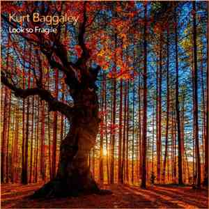 Kurt Baggaley - Look So Fragile flac download