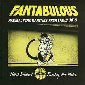 Various - Fantabulous: Natural Funk Rarities From Early 70's flac download