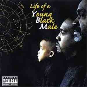 Y.B.M. - Life of a young black male flac download