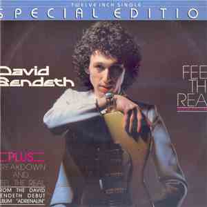 David Bendeth - Feel The Real flac download