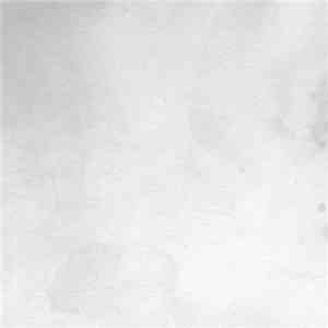 Lance Austin Olsen - THIEF flac download