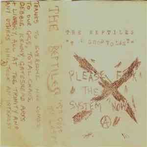 The Reptiles  - Too Good To Last flac download