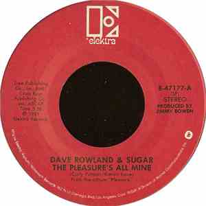 Dave Rowland & Sugar - The Pleasure's All Mine flac download