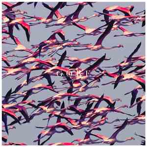 Deftones - Gore flac download