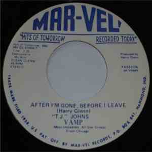 Vamp  - After I'm Gone, Before I Leave flac download
