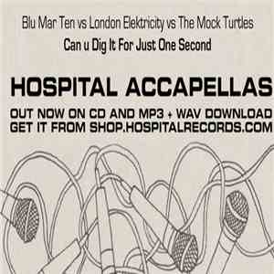 Blu Mar Ten vs London Elektricity vs The Mock Turtles - Can You Dig It For Just One Second flac download