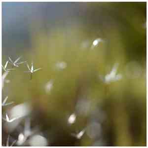 Logreybeam - Rem.Rem flac download