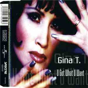 Gina T. - U Got What You Want flac download
