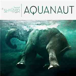 Laurent De Schepper Trio - Aquanaut flac download