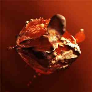 N.Nenov - Cosc flac download