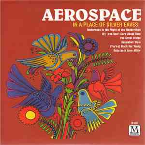 Aerospace  - In A Place Of Silver Eaves flac download