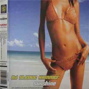DJ Sledge Hammer - Sunshine flac download