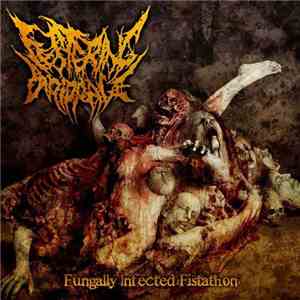 Festering Drippage - Fungally Infected Fistathon flac download
