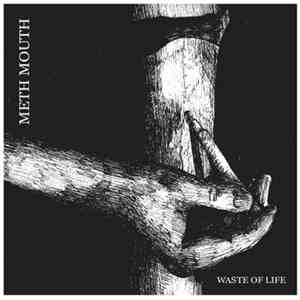 MethMouth - Waste Of Life flac download