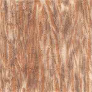 Various - Wailing Bones Volume Four flac download