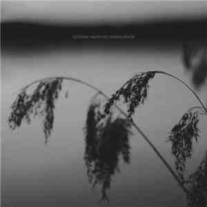 Thomas Carmody - Melancholy flac download
