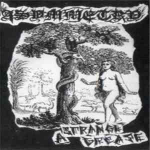 Asymmetry  - A Strange Grease flac download