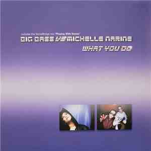 Big Bass vs Michelle Narine - What You Do flac download