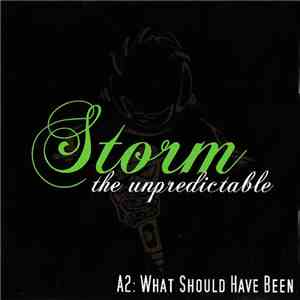 Storm The Unpredictable - A2: What Should Have Been flac download