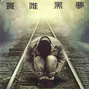 窦唯 - 黑梦 flac download