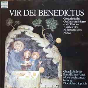 Choralschola der Benediktinerabtei Münsterschwarzach , Leitung: P. Godehard Joppich - Vir Dei Benedictus - Gregorianische Gesänge Aus Messe Und Offizium Zum Fest Des Hl. Benedikt Von Nursia flac download