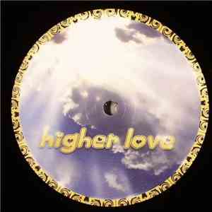 Dumb Dan - Higher Love flac download