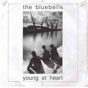 The Bluebells - Young At Heart flac download
