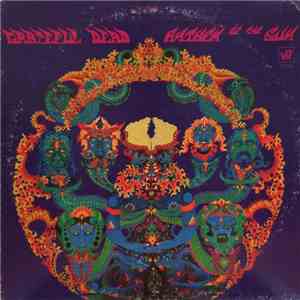 The Grateful Dead - Anthem Of The Sun flac download