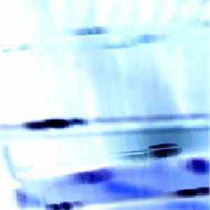 Arg - Polline N.1 (Per Pianoforte) flac download