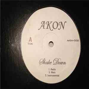 Akon - Shake Down flac download